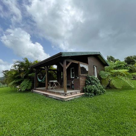Bungalow A Flanc De Colline Le Morne-Rouge Exterior foto
