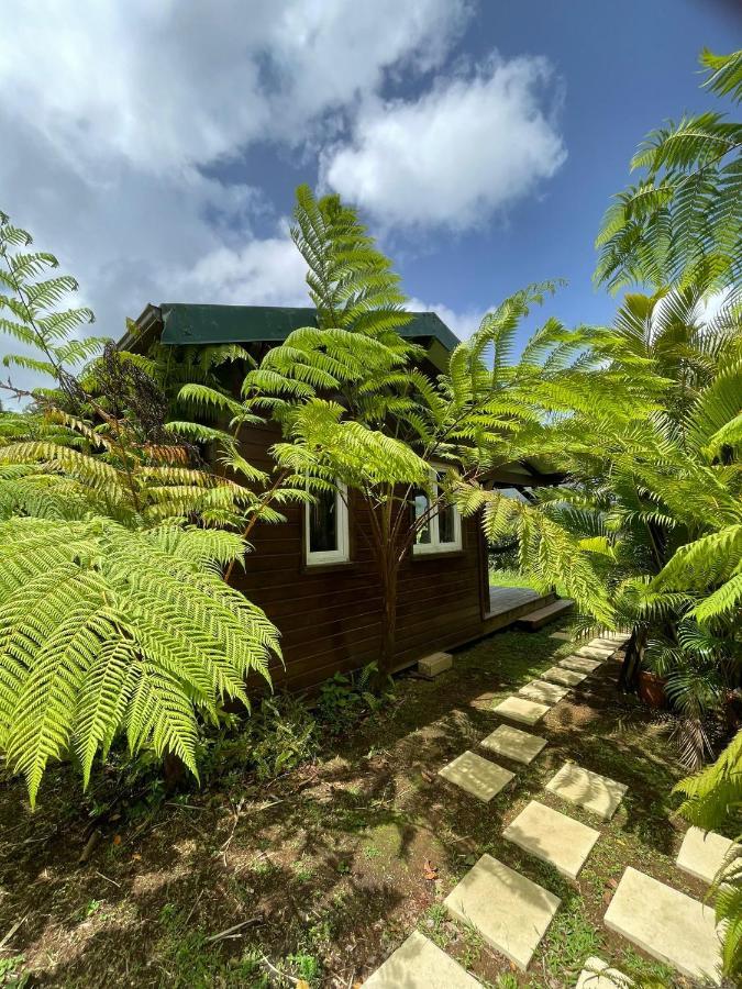 Bungalow A Flanc De Colline Le Morne-Rouge Exterior foto
